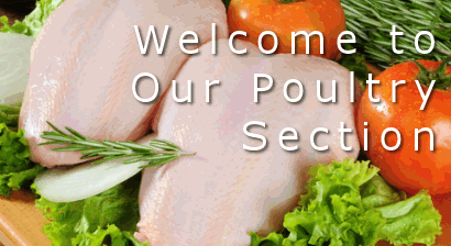 choosing poultry