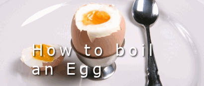 boiled egg