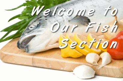 introduction to fish