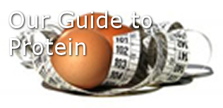 protein
