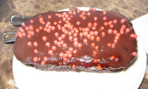 mississippi mud pie