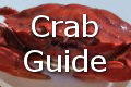 crabs