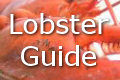 lobsters