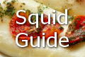 squid