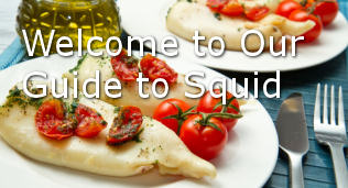 squid-guide