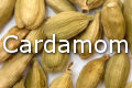 cardamom